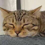 ヒメ日記 2025/04/20 08:23 投稿 らら 初体験