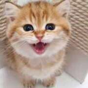 ヒメ日記 2025/04/22 12:04 投稿 らら 初体験