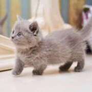 ヒメ日記 2025/04/23 09:30 投稿 らら 初体験