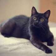 ヒメ日記 2025/05/05 08:47 投稿 らら 初体験