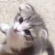 ヒメ日記 2025/05/07 07:02 投稿 らら 初体験