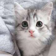 ヒメ日記 2025/05/13 10:30 投稿 らら 初体験