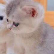 ヒメ日記 2025/05/14 08:02 投稿 らら 初体験