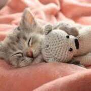 ヒメ日記 2025/05/17 19:10 投稿 らら 初体験