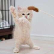 ヒメ日記 2025/05/20 10:01 投稿 らら 初体験