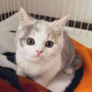 ヒメ日記 2025/06/18 08:02 投稿 らら 初体験