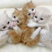 ヒメ日記 2025/06/20 08:56 投稿 らら 初体験