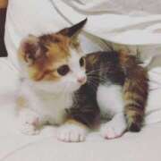 ヒメ日記 2025/07/23 11:57 投稿 らら 初体験