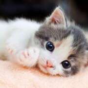 ヒメ日記 2025/08/03 12:09 投稿 らら 初体験