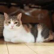 ヒメ日記 2025/09/08 11:51 投稿 らら 初体験