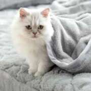 ヒメ日記 2025/10/05 12:21 投稿 らら 初体験