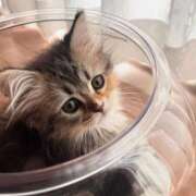 ヒメ日記 2025/10/06 12:33 投稿 らら 初体験