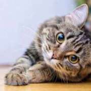 ヒメ日記 2025/11/15 09:21 投稿 らら 初体験