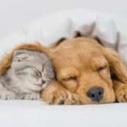 らら こんにちは✨ 初体験