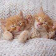 ヒメ日記 2026/03/05 10:41 投稿 らら 初体験