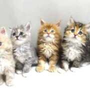 らら おはようございます☀️ 初体験