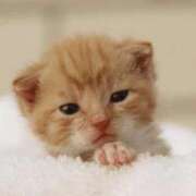 らら 出勤です💗 初体験