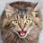 らら おはようございます☀️ 初体験