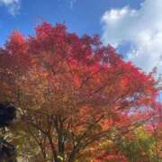 ヒメ日記 2025/11/22 12:23 投稿 みさ 松戸角海老岩瀬店