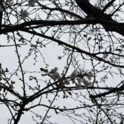 ヒメ日記 2026/03/23 13:33 投稿 みさ 松戸角海老岩瀬店