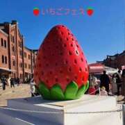 ヒメ日記 2025/02/12 17:42 投稿 小笠原 BBW横浜店