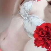 ヒメ日記 2025/10/19 01:25 投稿 みなみ 濡れ濡れレンタル彼女