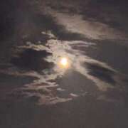 ヒメ日記 2025/04/11 05:38 投稿 りか 札幌回春性感マッサージ倶楽部