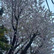 ヒメ日記 2025/05/10 19:54 投稿 りか 札幌回春性感マッサージ倶楽部