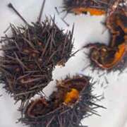 ヒメ日記 2025/09/27 20:48 投稿 りか 札幌回春性感マッサージ倶楽部