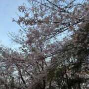 ヒメ日記 2026/04/28 22:08 投稿 りか 札幌回春性感マッサージ倶楽部