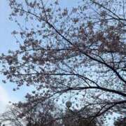 ヒメ日記 2026/05/09 17:20 投稿 りか 札幌回春性感マッサージ倶楽部