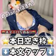 ヒメ日記 2025/08/10 08:13 投稿 はるか Polaris（ポラリス）