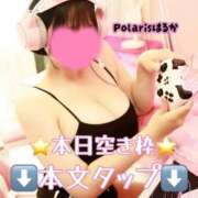 ヒメ日記 2025/08/30 08:18 投稿 はるか Polaris（ポラリス）