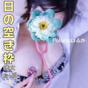 ヒメ日記 2025/10/06 23:33 投稿 はるか Polaris（ポラリス）