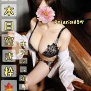 ヒメ日記 2025/10/16 08:02 投稿 はるか Polaris（ポラリス）