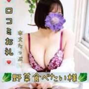 はるか 【お礼写メ日記】 Polaris（ポラリス）