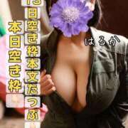 ヒメ日記 2026/02/12 12:42 投稿 はるか Polaris（ポラリス）