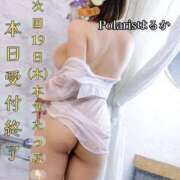 ヒメ日記 2026/02/16 14:32 投稿 はるか Polaris（ポラリス）