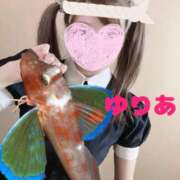 ヒメ日記 2025/01/26 09:15 投稿 ゆりあ 肉体の門