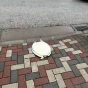 ヒメ日記 2025/04/29 09:15 投稿 ゆりあ 肉体の門