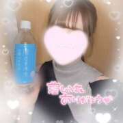 ヒメ日記 2025/01/27 04:21 投稿 雪菜-せつな【FG系列】 ほんつま 町田/相模原店