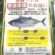 ヒメ日記 2024/09/16 16:44 投稿 るい 人妻倶楽部 内緒の関係 大宮店