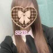 せいら◇可愛いと美人の融合◇ 出勤です✨ 東京ラブエッセンス