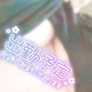 ヒメ日記 2025/03/14 18:29 投稿 ましろ 鹿児島ちゃんこ霧島店