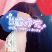 ヒメ日記 2025/03/28 17:18 投稿 ましろ 鹿児島ちゃんこ霧島店