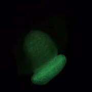 らら ありがとう‎🤍 マリン宮殿水戸店