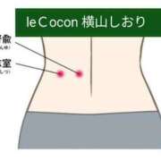 ヒメ日記 2024/01/19 12:24 投稿 横山　しおり リラクゼーションサロン　le Cocon～ルココン～