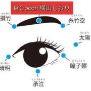 ヒメ日記 2024/01/22 16:03 投稿 横山　しおり リラクゼーションサロン　le Cocon～ルココン～