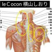 ヒメ日記 2024/01/28 12:48 投稿 横山　しおり リラクゼーションサロン　le Cocon～ルココン～