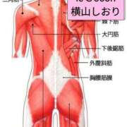 ヒメ日記 2024/02/16 18:00 投稿 横山　しおり リラクゼーションサロン　le Cocon～ルココン～